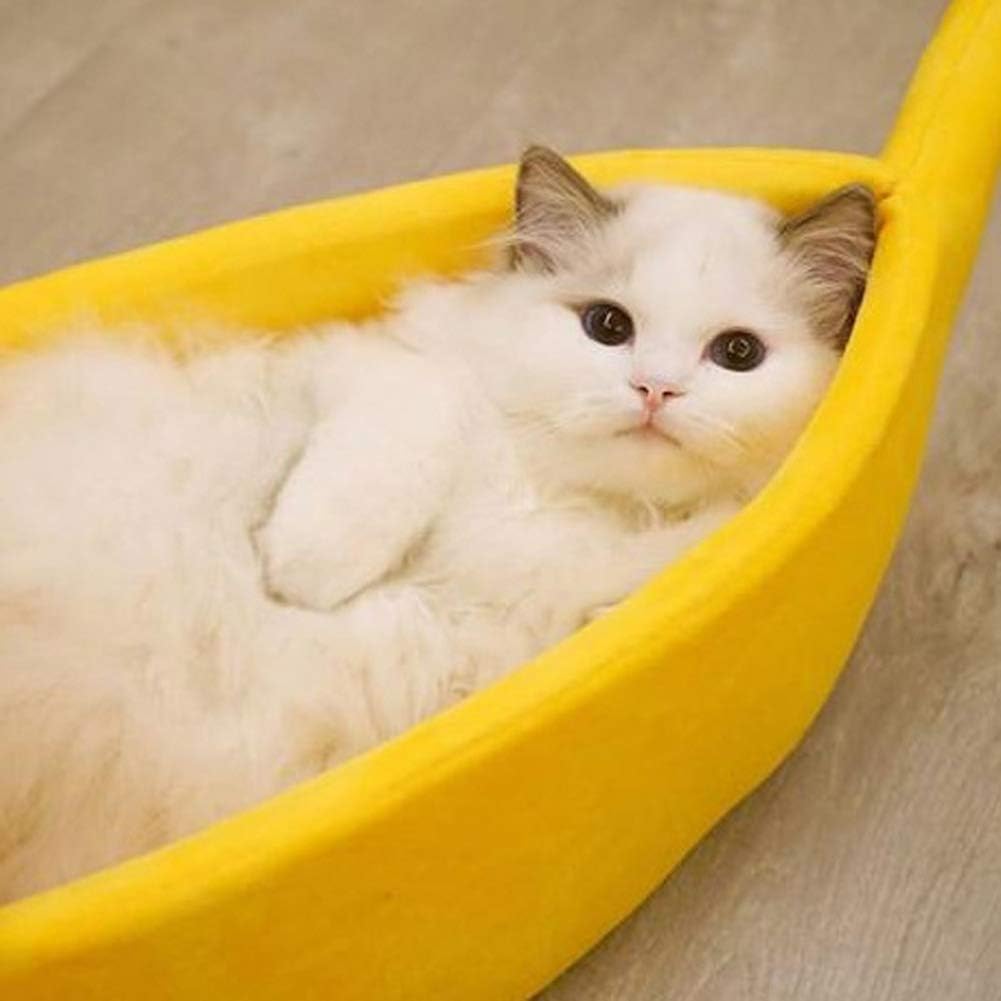 https://omnishop-col.com/products/cama-creativa-con-forma-de-platano-para-mascotas-cama-suave-y-calida-para-gatos-de-invierno-cama-de-dormir-autocalentable-para-cachorros-gatitos-cama-calida-para-casa-amarillo-xl