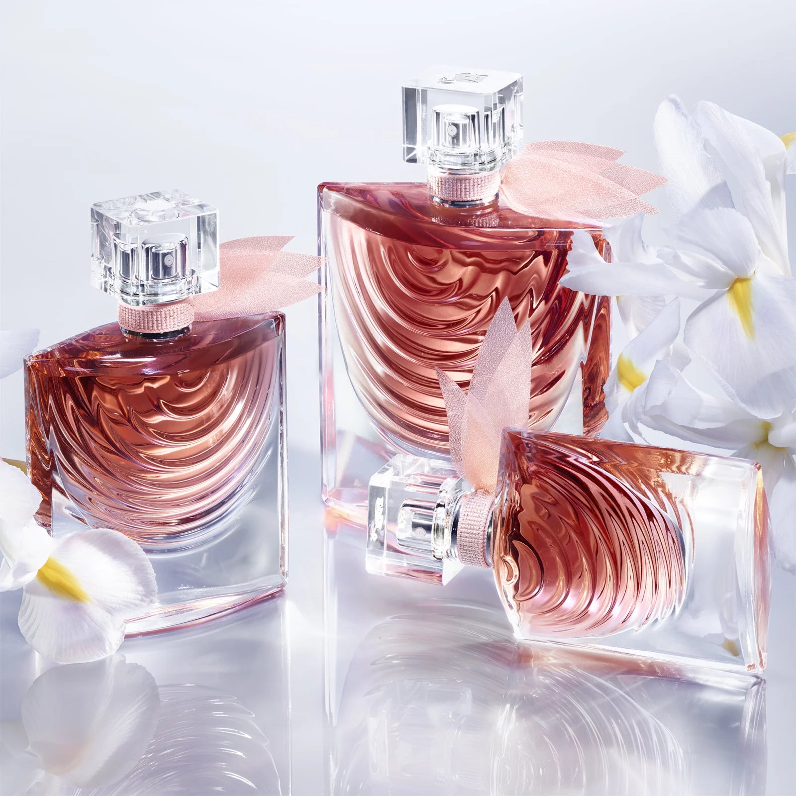 https://omnishop-col.com/products/perfume-la-vie-est-belle-iris-absolu-lancome-100-ml